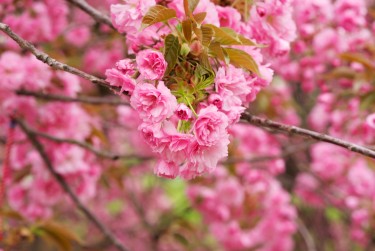 绍兴柯桥区2线下个人借款平台一站式服务，轻松解决资金难题