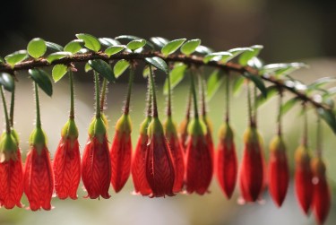 绍兴柯桥区2零用贷短借：轻松解决临时资金需求