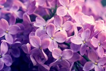 绍兴柯桥区2企业急用钱贷款攻略：快速融资解燃眉之急